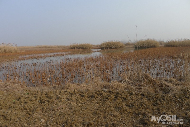 泡温泉,逛古徐水街,游洪泽湖湿地公园 - 菜菜鸟