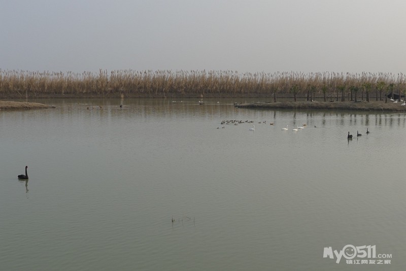 泡温泉,逛古徐水街,游洪泽湖湿地公园 - 菜菜鸟