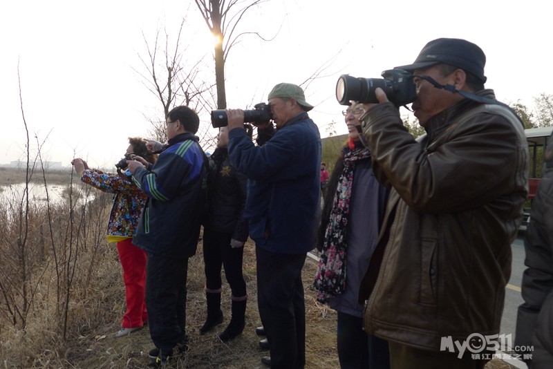 泡温泉,逛古徐水街,游洪泽湖湿地公园 - 菜菜鸟