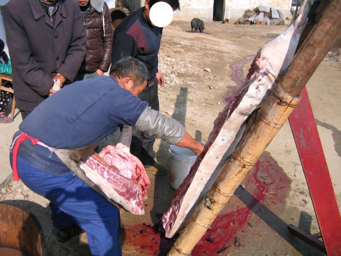 吃 肉 图片 宰杀 女人 割 喉 放血 吃 肉