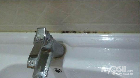 玻璃胶发霉怎么办 玻璃胶上的黑斑怎么去除 - 