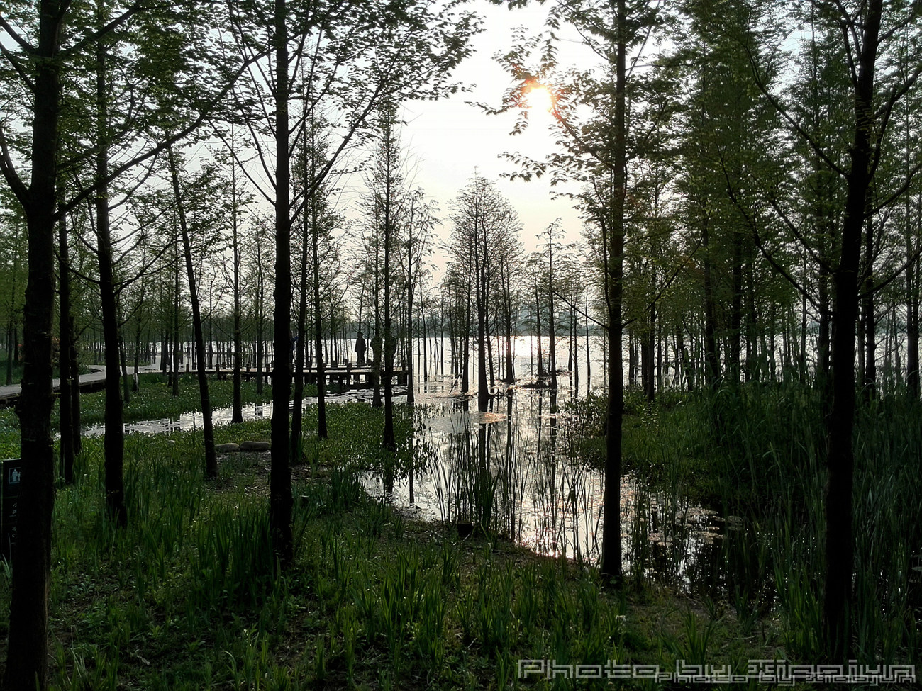 zsxl;《华为P6里的金山湖景》zsxl; - 视觉Coffe