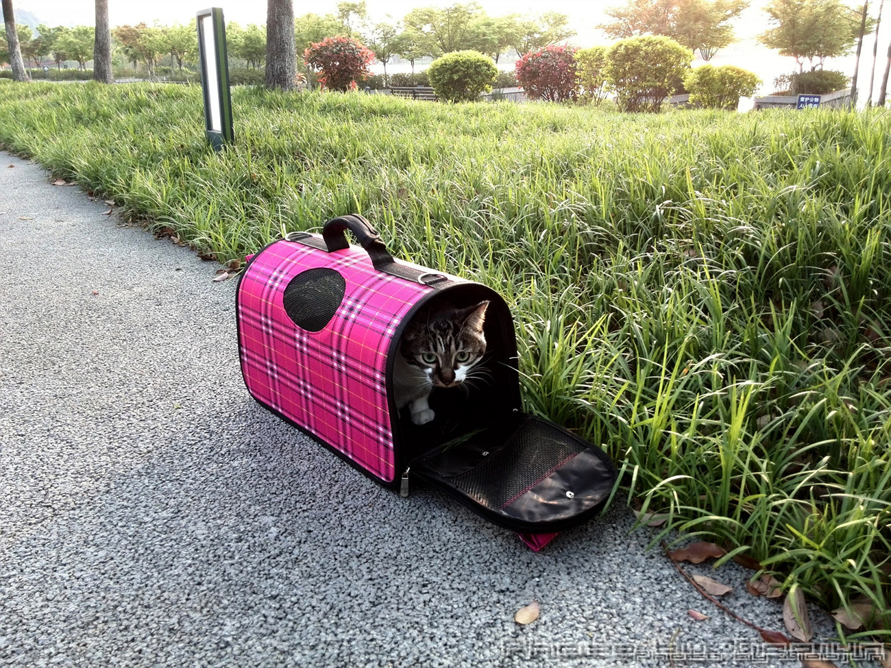 zsxl;《华为P6里的金山湖景》zsxl; - 视觉Coffe