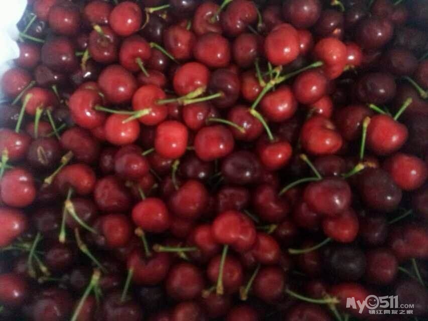 (老帖新开)上海港口的高档进口水果来袭,亲们准