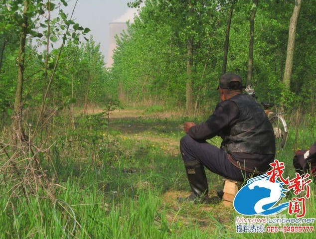 淮安人残忍捕鸟 细绳穿透活鸟胸骨做鸟媒--- 