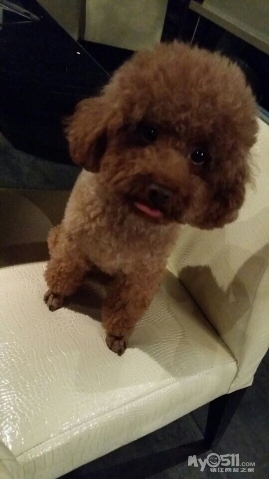 空格小水BAR 进店写爱得宣言留下你们的电话