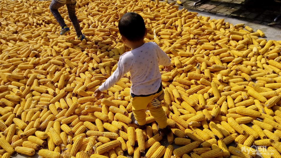 <em>外婆的澎湖湾</em> - 婴幼童品 - 梦溪论坛 镇江,时事
