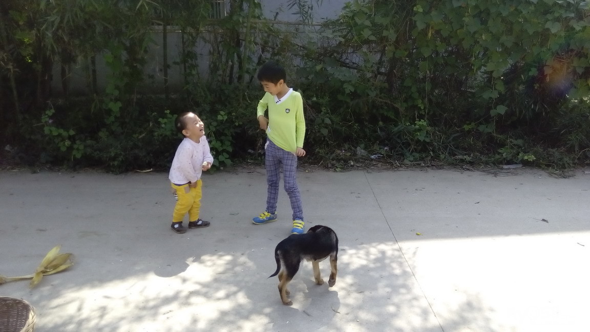 <em>外婆的澎湖湾</em> - 婴幼童品 - 梦溪论坛 镇江,时事