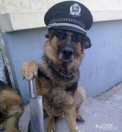 创建文明城市 象山城管 我为你点赞 - 百姓话题