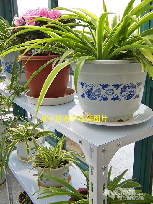 建议小区值班室弄个货架摆放快递包裹 - 瑞泰花