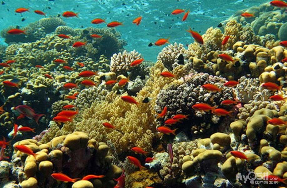 帕劳归来不看海! - 畅游天下 - 梦溪论坛 镇江,时