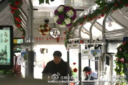 扬州女司机自讨腰包装饰最美公交 - 百姓话题
