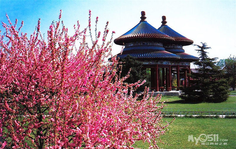 [花·迹]把<em>春天</em>送给她-<em>老</em>北京 故宫 恭王府 长