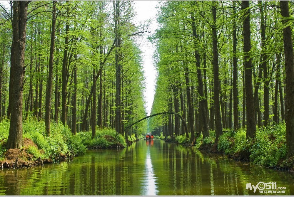 2015菜菜鸟市内计划第11站: 泛舟兴化千岛菜花