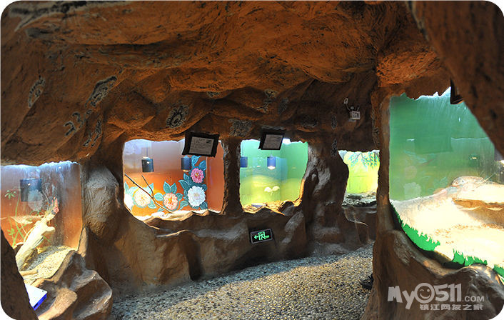 上海汽车、大自然野生昆虫、机器人馆及玻璃博