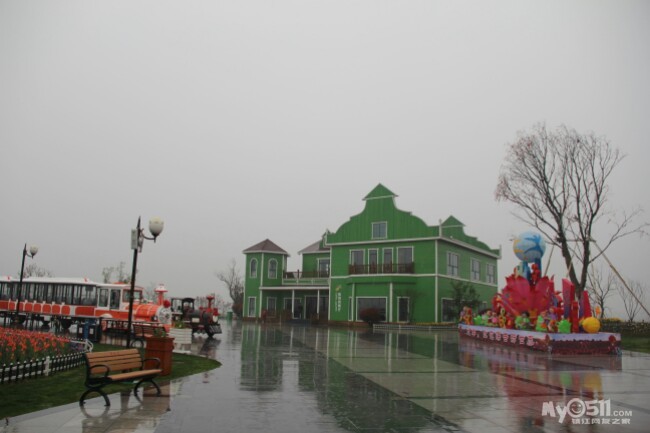 4月11日孟非要去的大丰荷兰花海 - 百姓话题 -