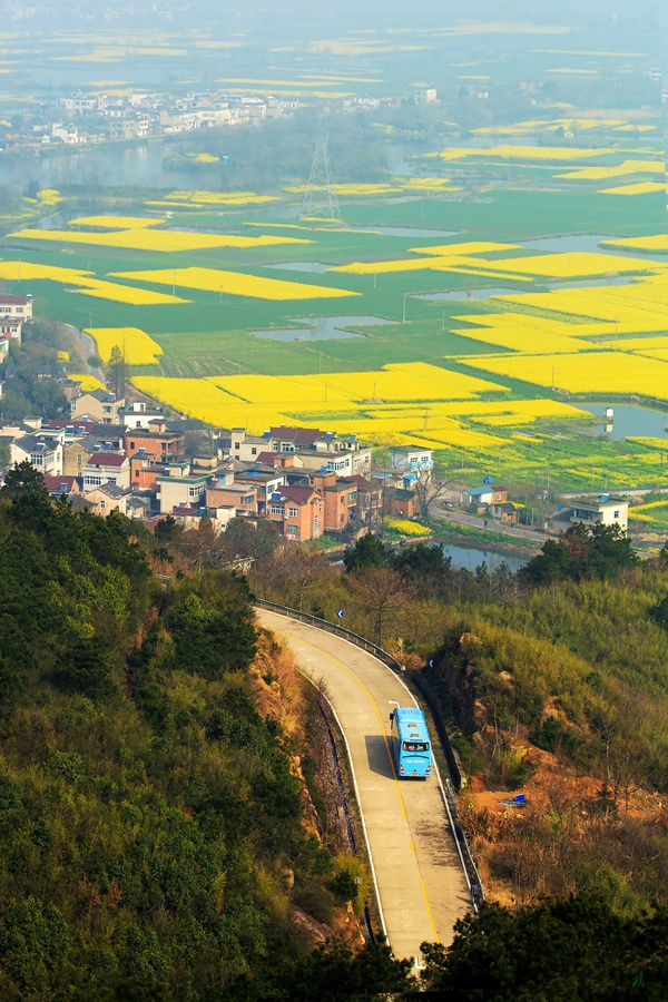 --菜花酒香响水涧-- - 镜头里的镇江 - 梦溪论坛 