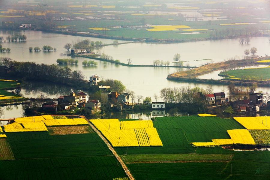 --菜花酒香响水涧-- - 镜头里的镇江 - 梦溪论坛 