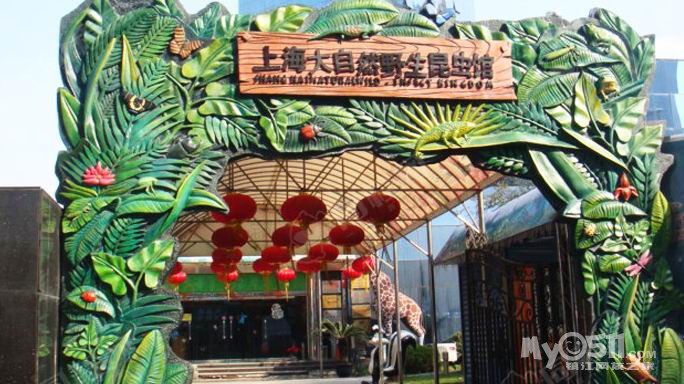 上海汽车、大自然野生昆虫、新自然博物馆及玻