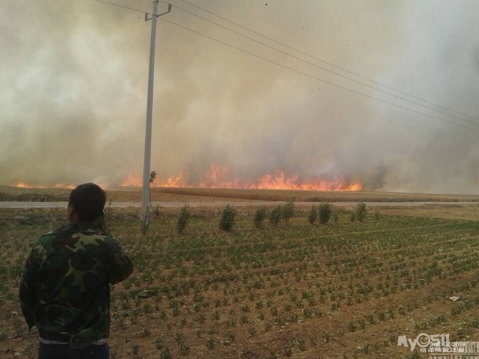 麦被烧 - 百姓话题 - 梦溪论坛 镇江,时事,招聘,求