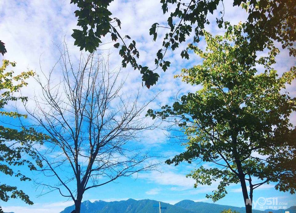 移居温哥华,失业找工作,DIY早餐 - 饮食男女 - 梦