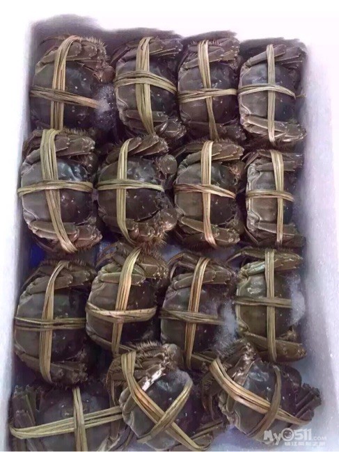 自产自销,走遍中国,舌尖上的中国!长荡湖的螃蟹