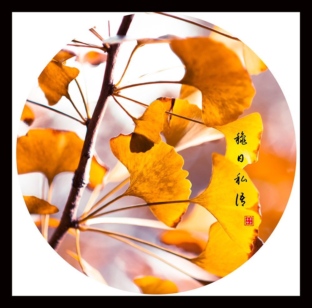 秋日私语