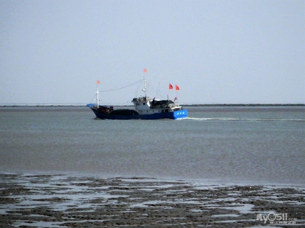 欣欣向荣的射阳港 - 镇江知青 - 梦溪论坛 镇江,