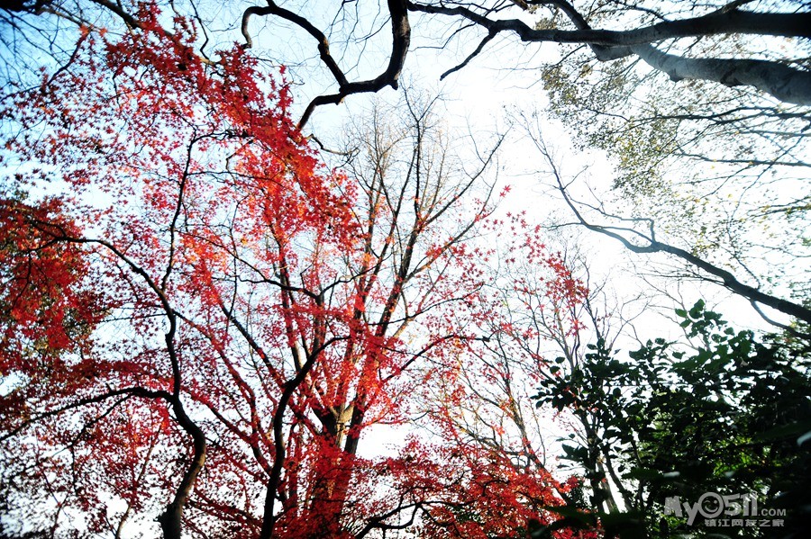 《求证伯先公园里这块江苏镇江县纪念石的来