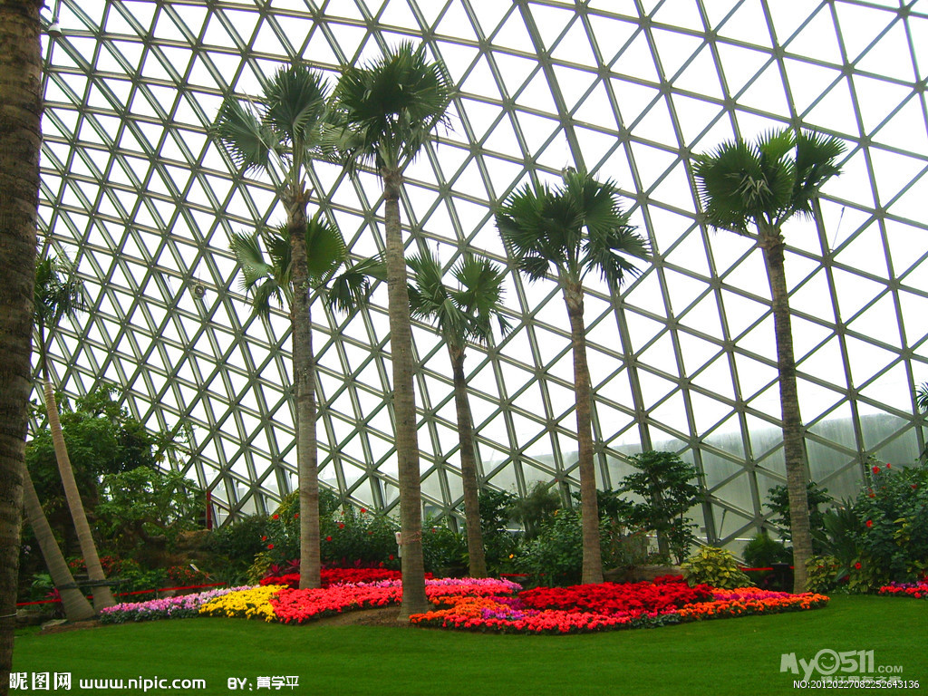 春节自组团:上海长风海洋馆、汽车博物馆及辰
