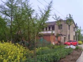 其他 镇江市丹徒县江心乡五墩二队下汽渡就到