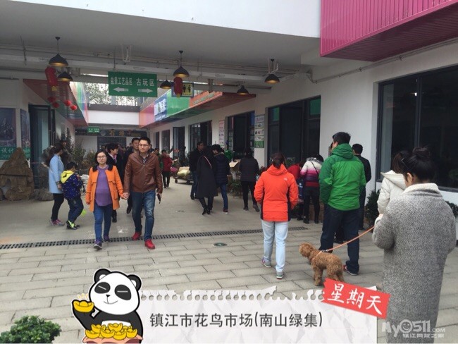 天时,地利,人和造就镇江市花鸟市场(南山绿集)人气如此之旺,让我情