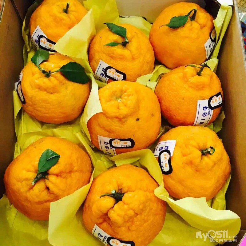 进口水果 想吃吃不起的 进来看看 - 饮食男女 - 