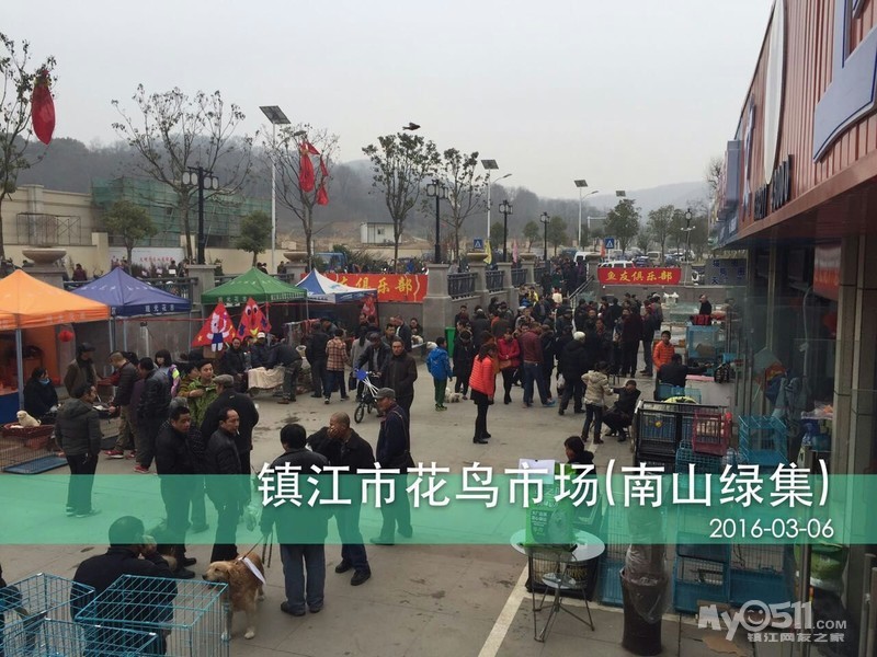南徐大道的新花鸟市场(南山绿集)