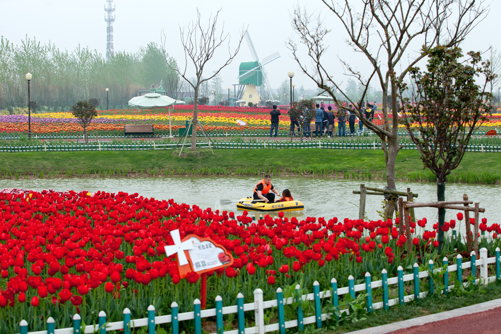 2016荷兰花海(大丰) 纪行 - 视觉Coffeeshop摄影