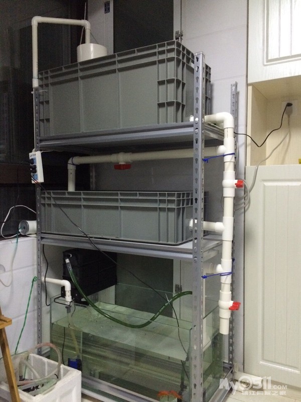 直播---鱼菜共生系统,从设计安装开始,不定期更