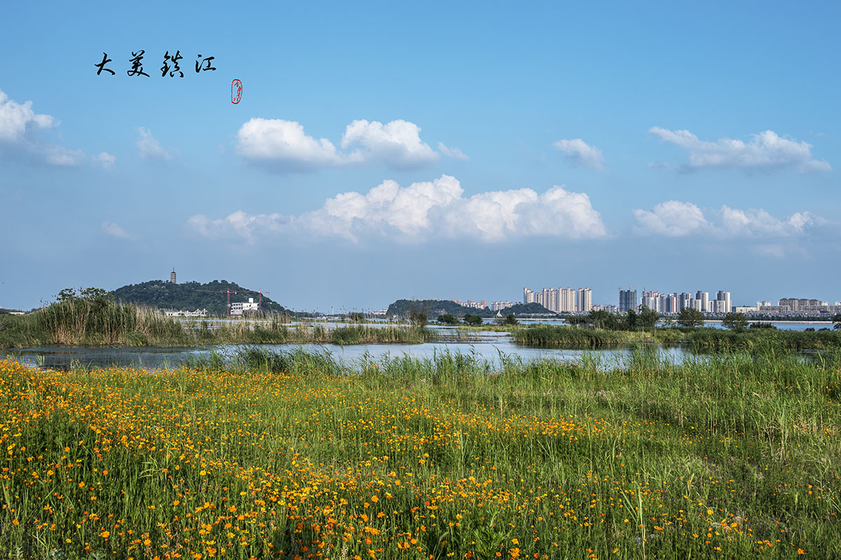 大美镇江(镇江生态湿地公园)风景篇(多图)