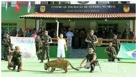 巴西奥运会,这下限真是让镇江人都大开眼界了