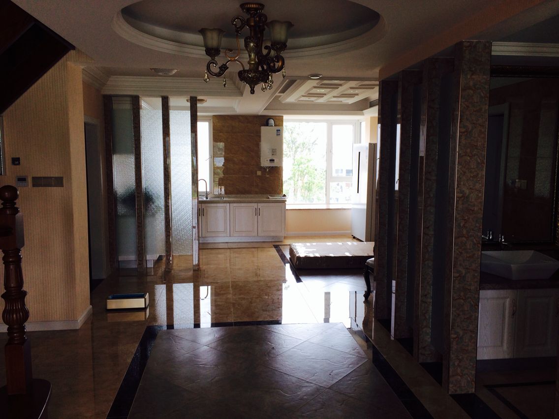 大市口 S朴园豪华精装《美图》200平中央空调