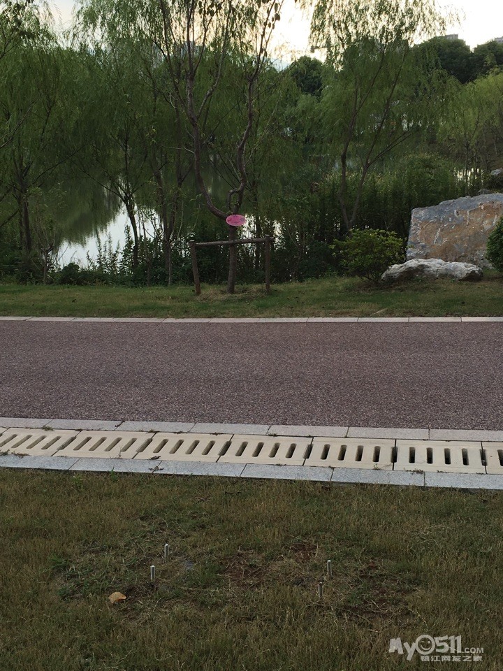 南山绿道(公安局加油站旁)上来大概500米,安全