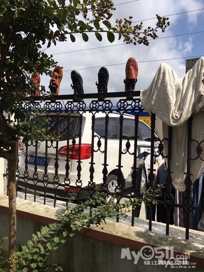 请问镇江哪个部门有权利在滨江风光带毁绿,搭