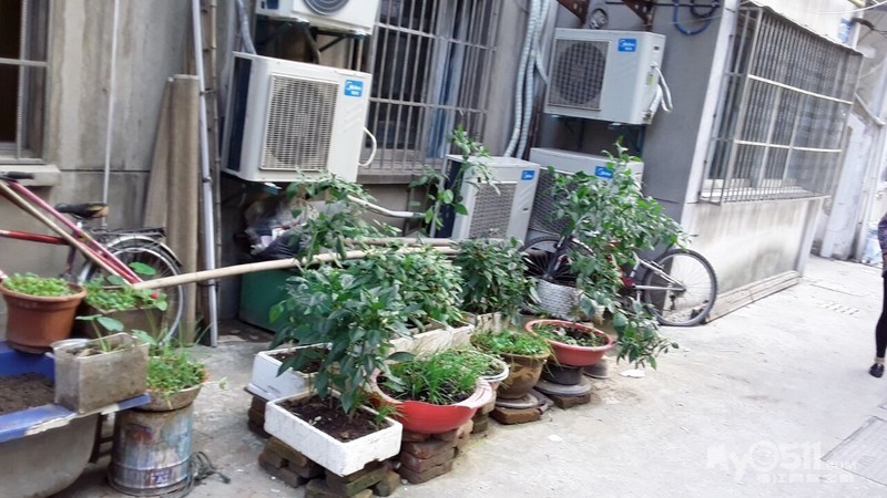 苏北二楼三楼老家伙的素质真差堆乱七八糟东西