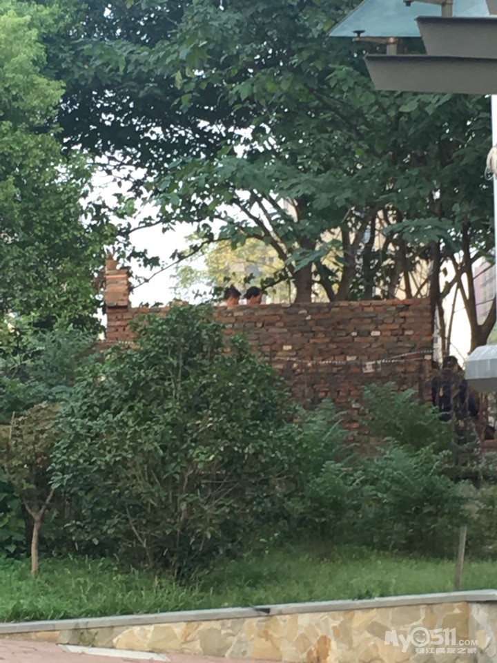 请问镇江哪个部门有权利在滨江风光带毁绿,搭