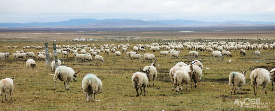 天下骑友是一家---和河北保定精灵车友从九色