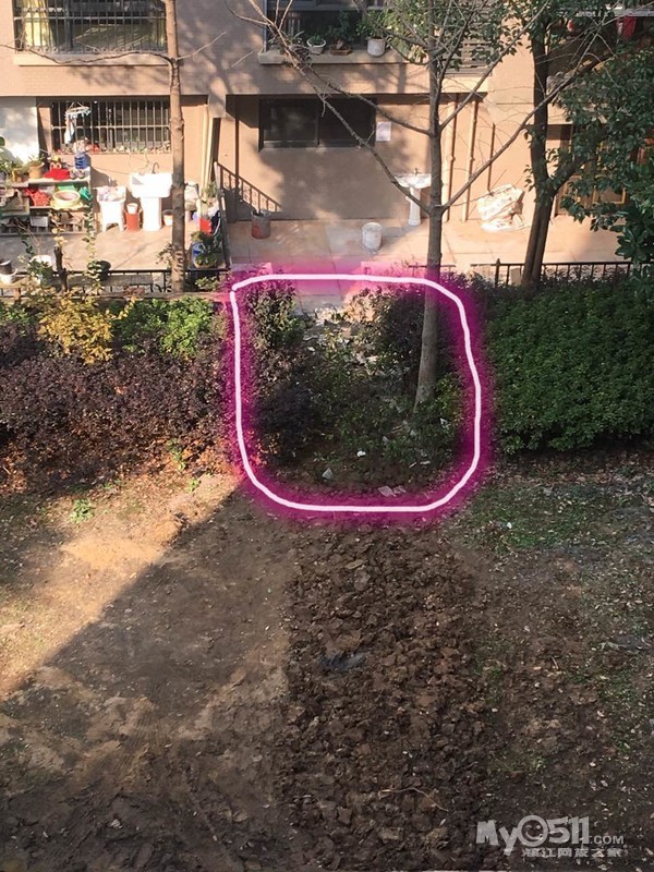 公职人员孙爱龙,破坏绿化违规建设,包庇工人殴