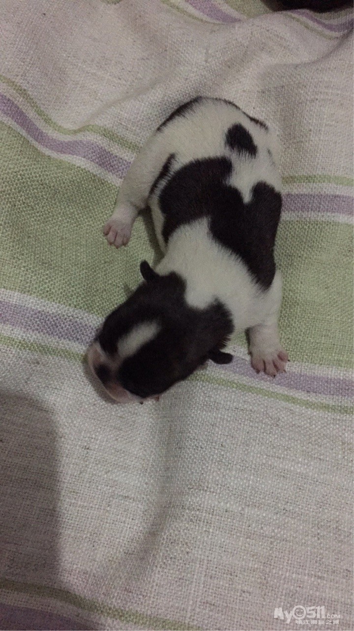 人均gdp多少是发达国家(3)