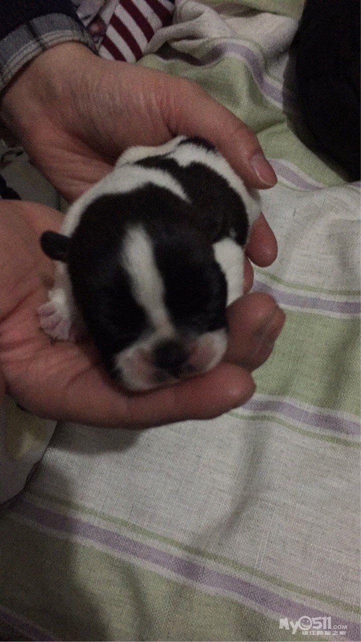 人均gdp多少是发达国家(3)