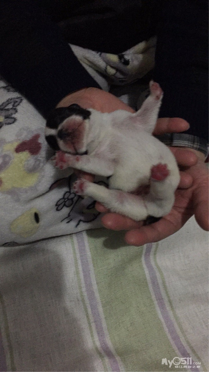 人均gdp多少是发达国家(3)