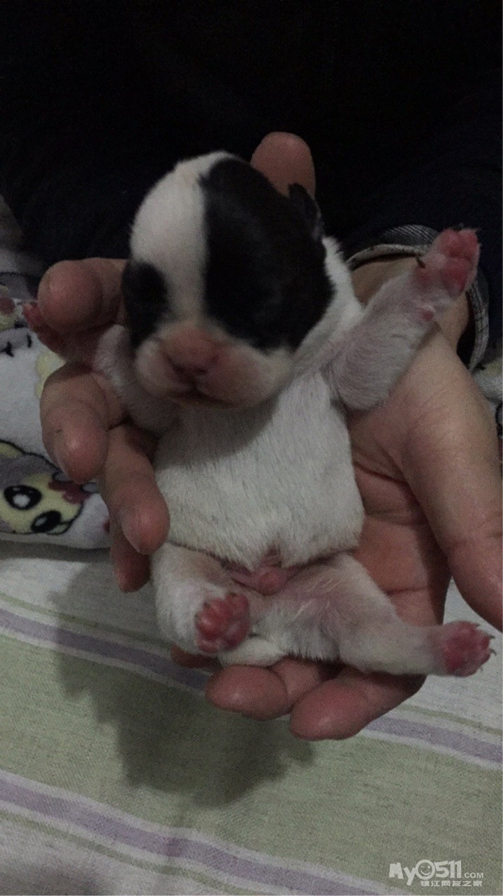 人均gdp多少是发达国家(3)