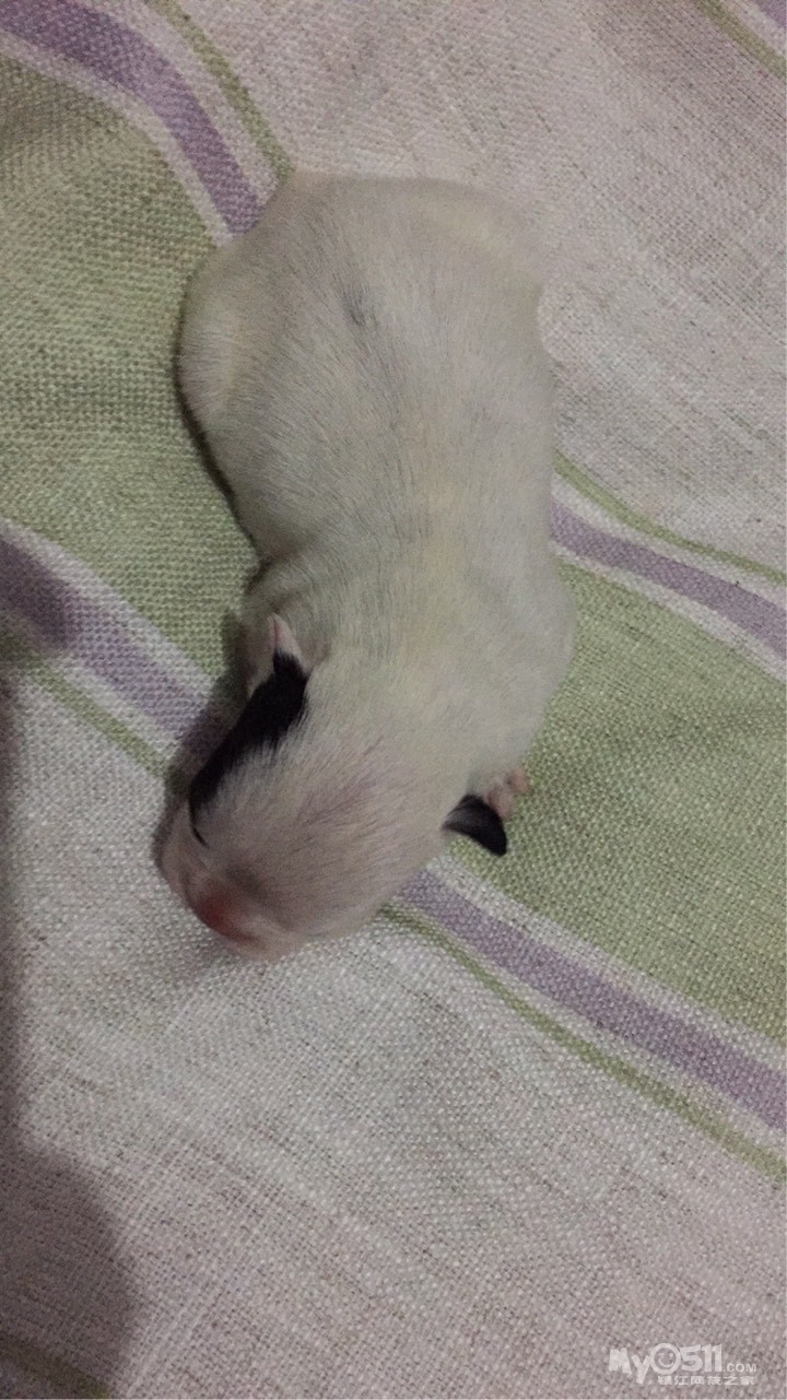 人均gdp多少是发达国家(3)